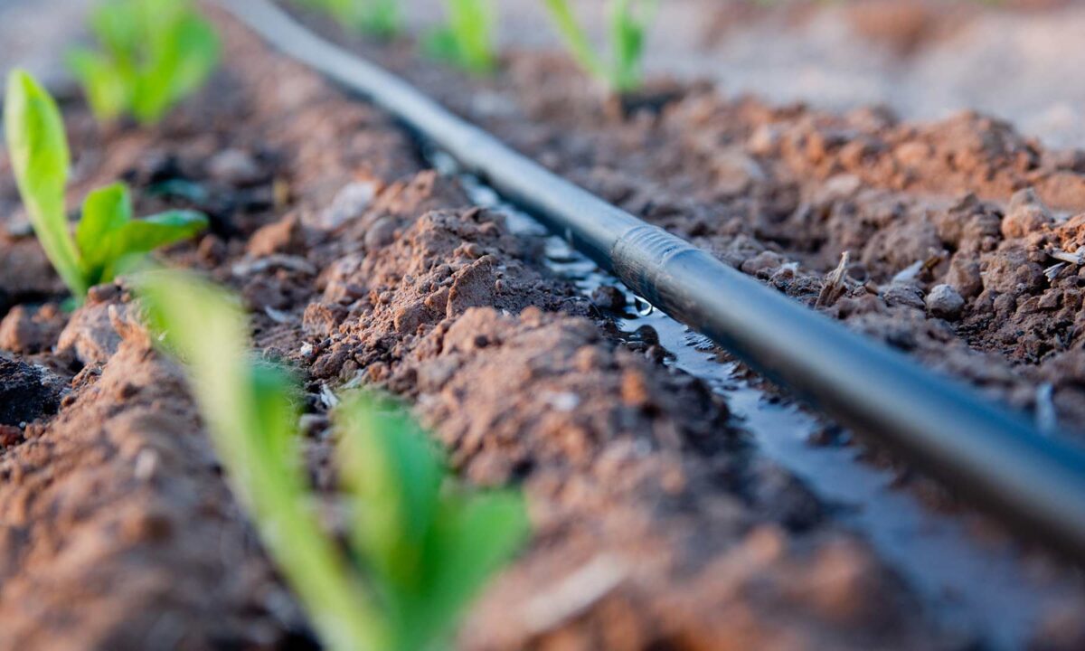 Exploring the Wonders of Drip Irrigation System in South Africa