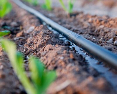 Exploring the Wonders of Drip Irrigation System in South Africa