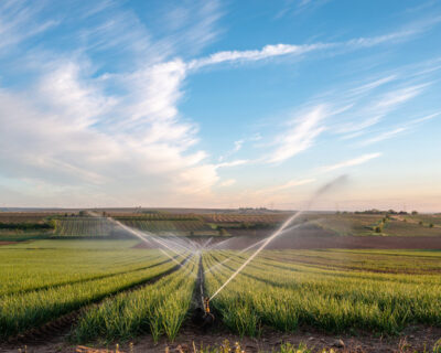 Seasonal Irrigation Tips: Water Wisely Year-Round